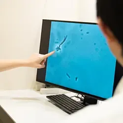 お口の中の細菌を見ることができます